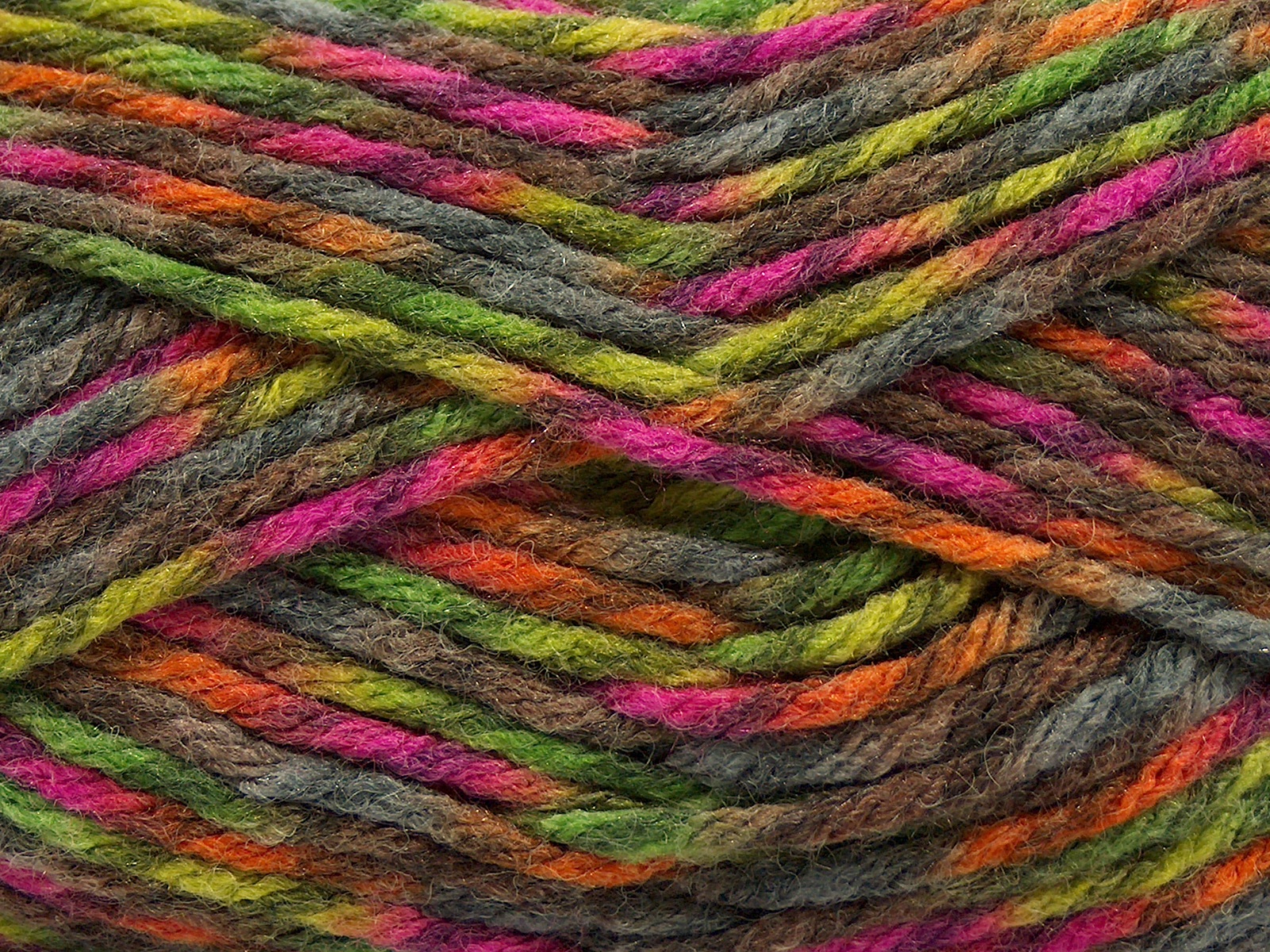 Thor at Yarn Paradise